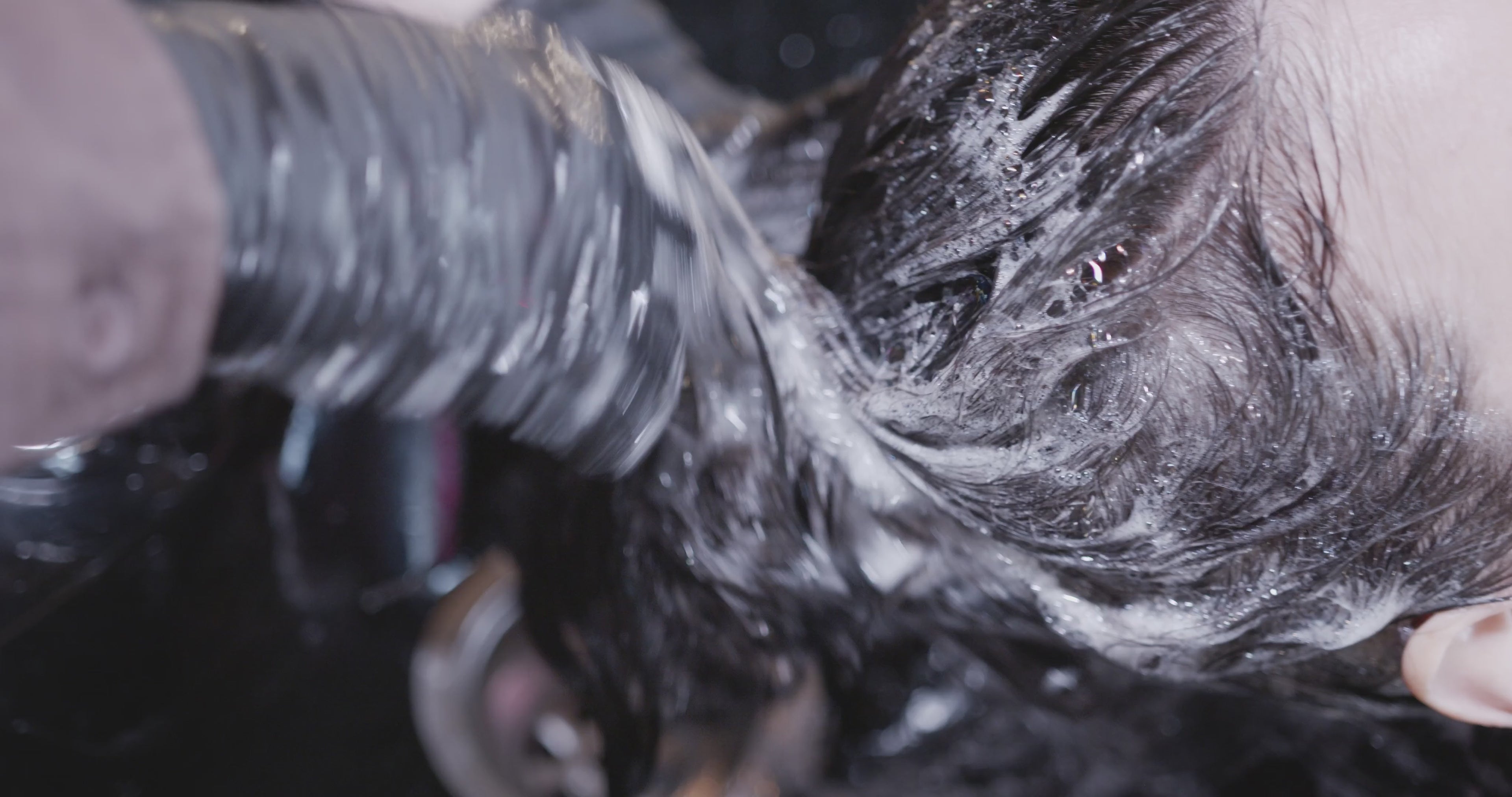 Charger la vidéo : 